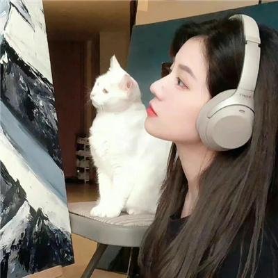 总统的分析